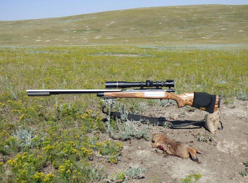 Prairie dog clearance hunting gear